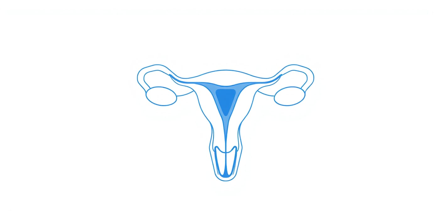 Ilustración médica clara